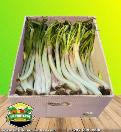 Cebollín caja abierta