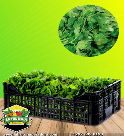 Cilantro Al Mayor