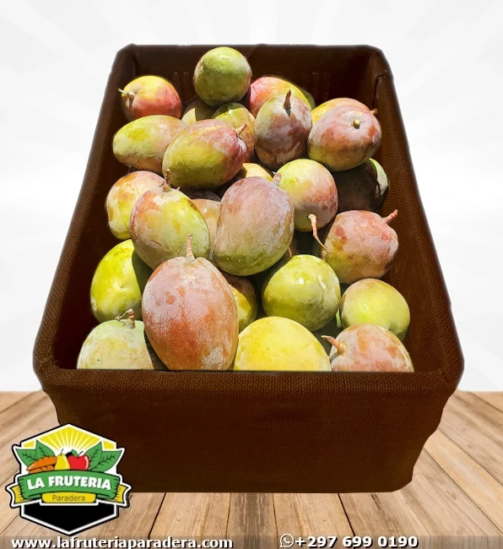Mango Tommy Cesta Marron