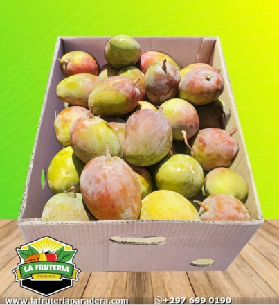 Mango Tommy caja abierta