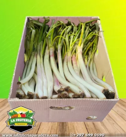 Cebollín caja abierta